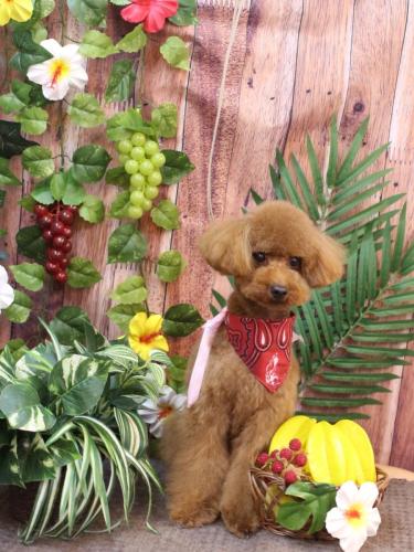 20230829岩本　ピナくん